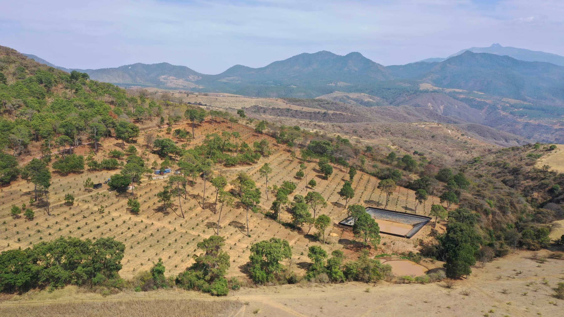Desmontes en la zona sur de Jalisco para sembrar aguacates. Foto: Abraham Pérez.