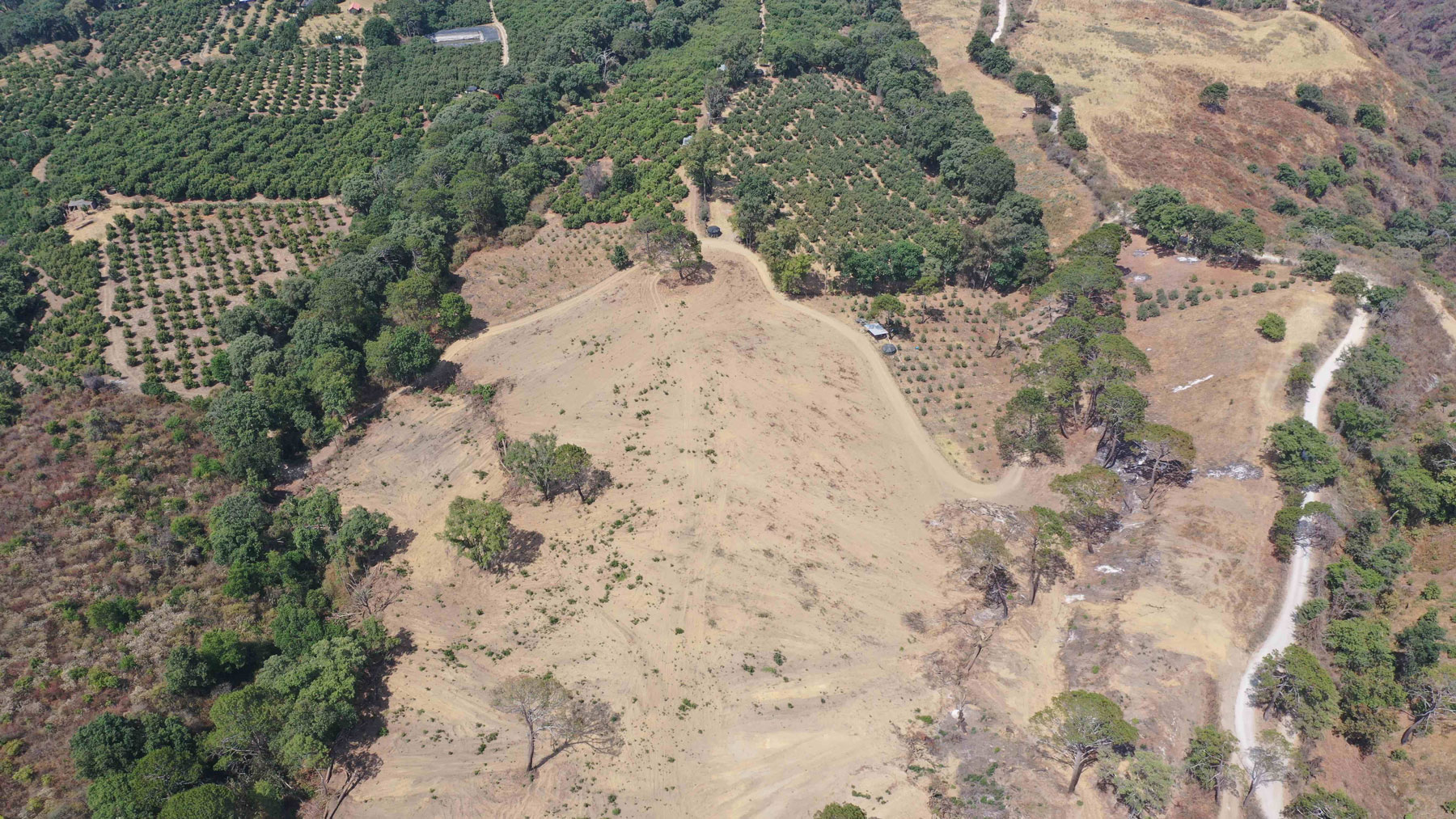 Imagen aérea de una zona talada para sembrar aguacate. Foto: Juan Manuel González/Canal 44