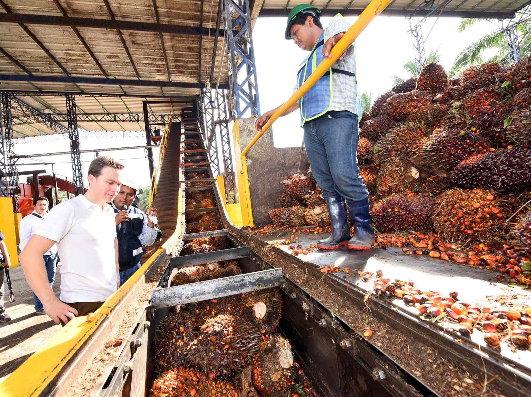 En diciembre de 2016, Manuel Velasco, entonces gobernador de Chiapas, inauguró una planta procesadora de aceite de palma en Acapetahua. Foto: Gobierno de Chiapas.
